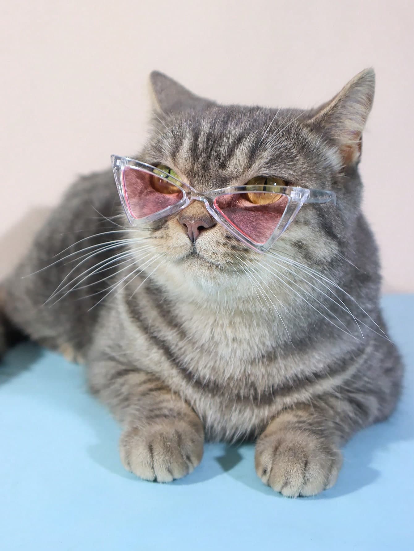 1pc Triangle Pet Sunglasses, Suitable For Cats And Small Dogs, Personality Accessory For Photography And Outdoor Use